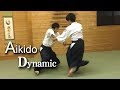 Harmony of Aikido - dynamic and technical