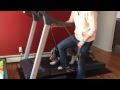 How to train your dog to walk on a treadmill