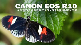 Canon EOS R10  A Perfect Mirrorless Camera For Beginners?