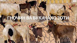 :       !!. :+992 110 88 00 04. 20  2025 