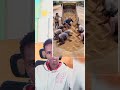 Da Imni Garam Deema Jirti Fypviralシ Fyptiktok Shortsfeed Trendingvideo