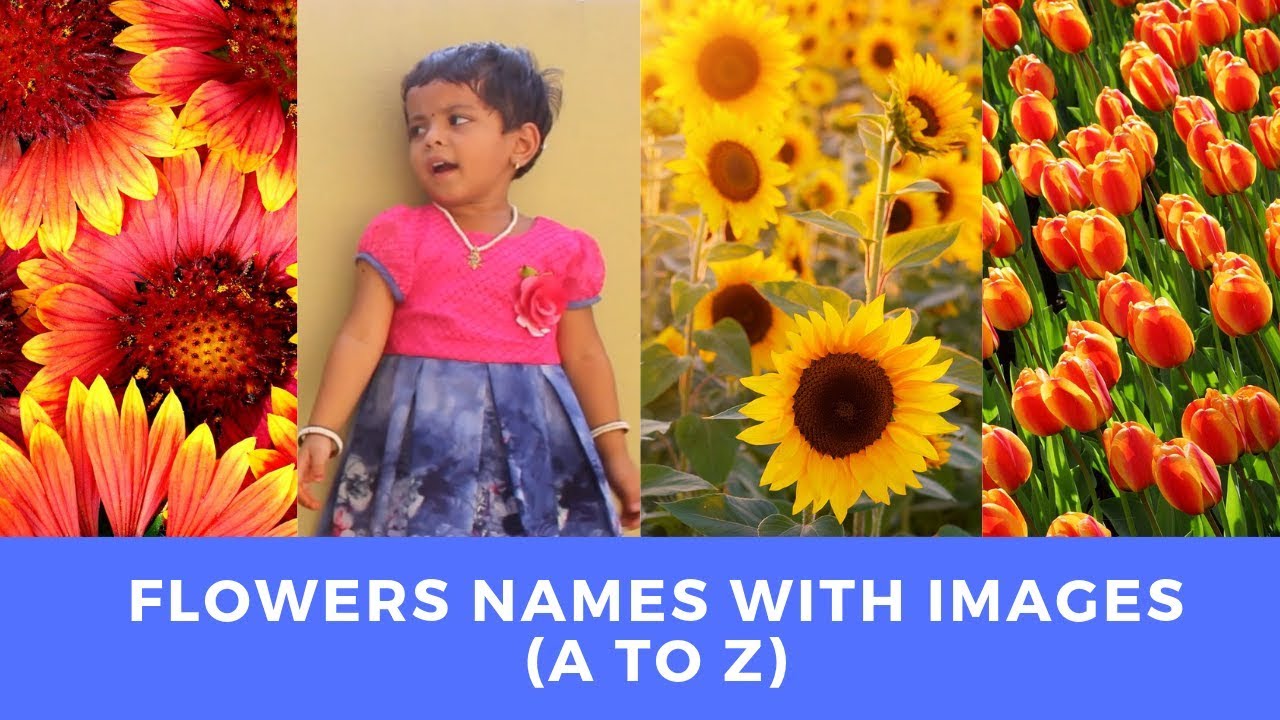 Flowers Names in Alphabetical Order For Children in ...