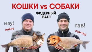 видео: КОШКИ ПРОТИВ СОБАК! Бой кошачьего и собачьего корма за рыбьи сердца! ФИДЕРНЫЙ БАТЛ №3, Сезон 2021-22 картинка: КОШКИ ПРОТИВ СОБАК! Бой кошачьего и собачьего корма за рыбьи сердца! ФИДЕРНЫЙ БАТЛ №3, Сезон 2021-22