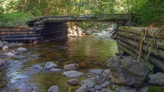 The Bridge that Makes No Sense: Blowdown and Salvage in the Adirondack Forest Preserve