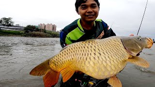 Luar Biasa Sungai Ini Isinya Babon Semua  Mancing Ikan Mas Besar