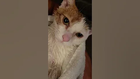 Kallie's 2nd bath 122722