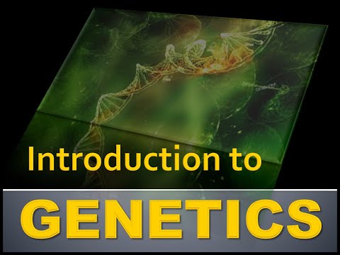 Video: Ano ang ibig sabihin ng genetic disease?