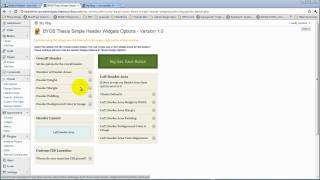 Introduction - Add Widget Areas to the Thesis Header