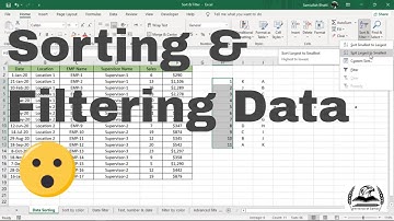 Sorting & Filtering Data in MS Excel | Microsoft Excel in Urdu & Hindi