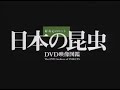 『日本の昆虫』トレーラー・OP ver.