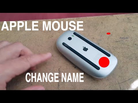 Video: How To Name The Mouse