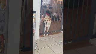 This why you not allowed in the kitchen