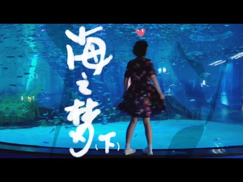 上海海昌海洋公园小旅行（下）实录酒店和乐园！趁着暑假的尾巴，一起云玩耍吧！【海之梦VVlog下】