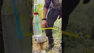 Dispensador de agua casero para tus días de camping #curiosidades #viralreel #naturaleza