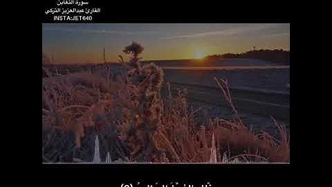 فَآمِنُوا بِاللَّهِ وَرَسُولِهِ) سورة التغابن القارئ عبدالعزيز التركي مقاطع انستقرام