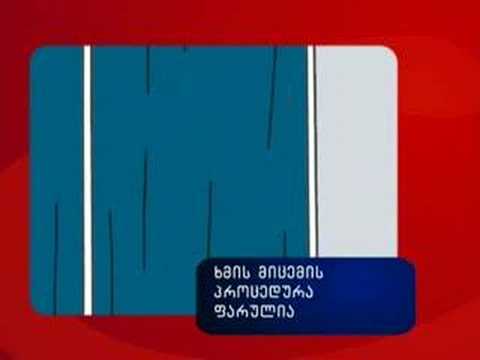 ვიდეოთვალის ფუნქცია საარჩევნო უბანზე