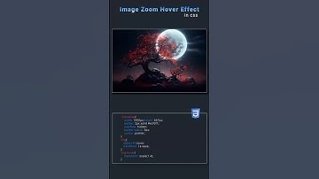 Image zoom Hover effect  #coding #html #css #javascript