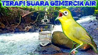 TERAPI KECIAL KUNING SUARA AIR| UNTUK KECIAL MACET,BISU & MALAS BUNYI| Lombok Sasak tv