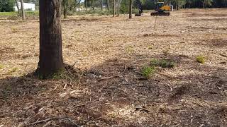 Mulching 6 acres in Milton, FL by Johnny Waters 125 views 2 years ago 3 minutes, 4 seconds