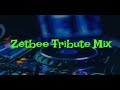 Zetbee tribute mix  house music deep tech  club sounds