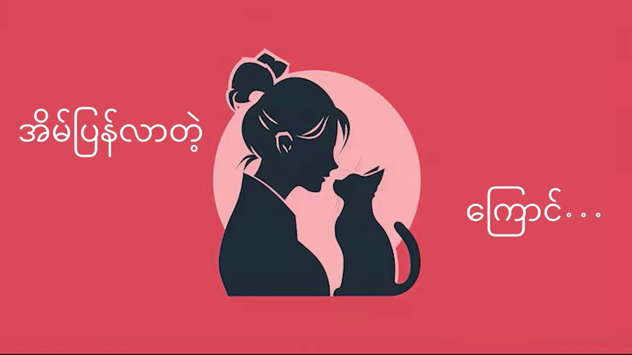 အိမ်ပြန်လာတဲ့ ကြောင်