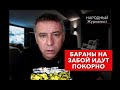 Бараны на забой идут покорно.