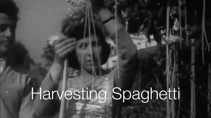 BBC: Spaghetti-Harves...  in Ticino