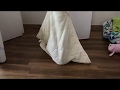 猫の新しい遊び
