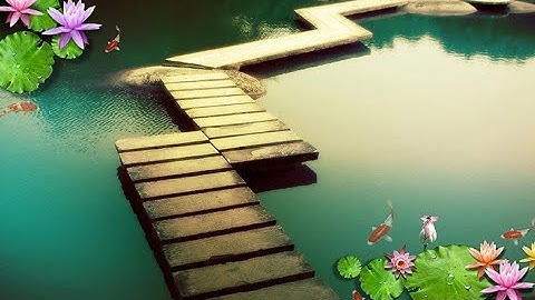 50 Mẫu Tranh 3D Vải Lụa Hoa Sen Tuyệt Đẹp P4 - Xưởng In Tranh 3D Vải Lụa Sài Gòn