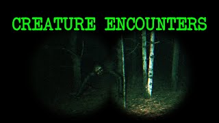 (3) Creepy CREATURE ENCOUNTER Stories From Subscribers #10