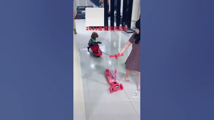 Hailey Chen & Gigi walk show