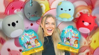 Opening $100 Of Mystery Squooshem Squishmallows!