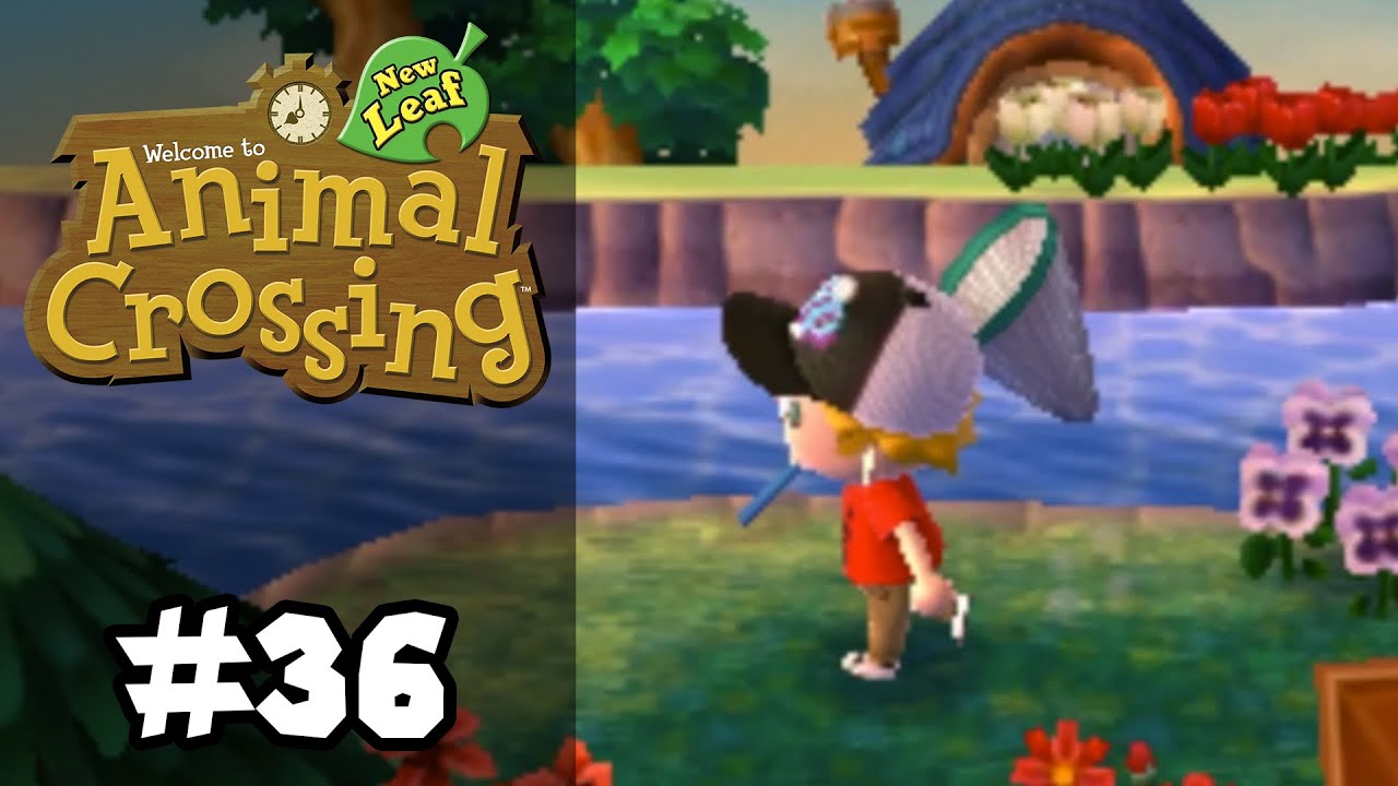 WHERE ARE ALL THE DIVING BEETLES?! in Animal Crossing New Leaf (3DS