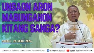 'Unsaon aron mabungahon kitang sanga?'- 04/28/2024 Misa ni Fr. Ciano Ubod sa SVFP.