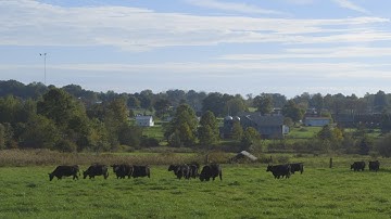 Lowering Costs Without Lowering Fertility