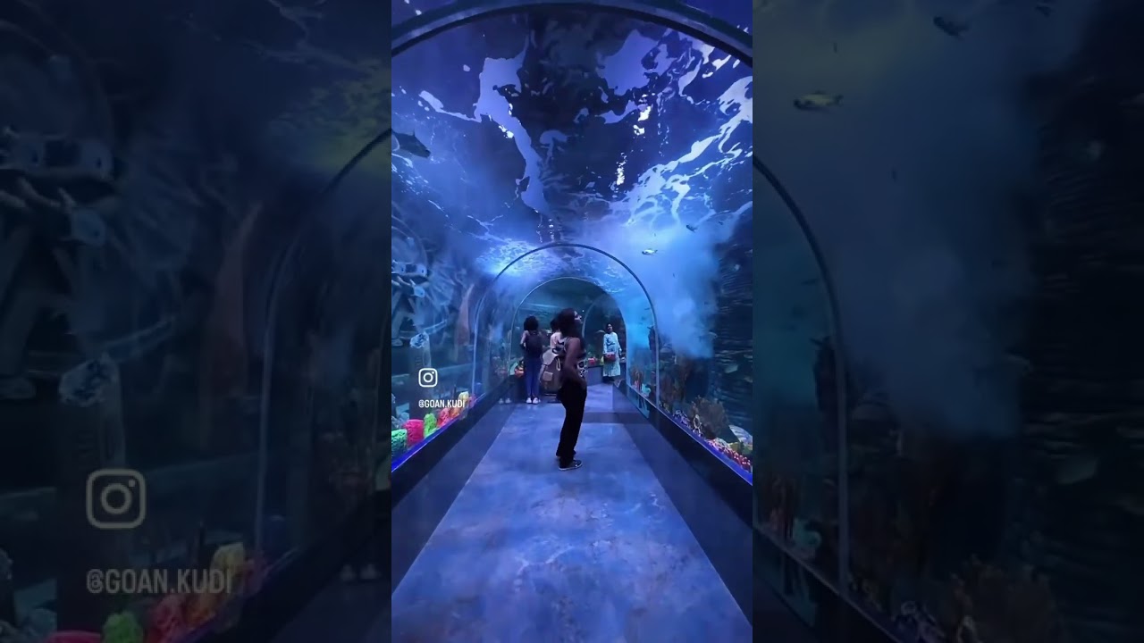 A day with chef friend