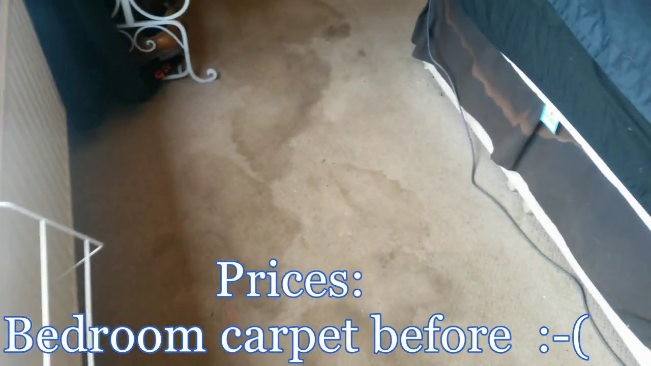 Doncaster carpet cleaners price list YouTube
