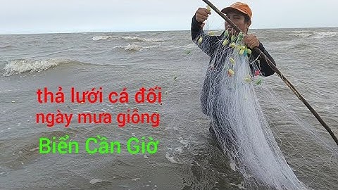 trải nghiệm thả lưới cá ở Biển Cần Giờ bất ngờ gặp mưa giông và cái kết