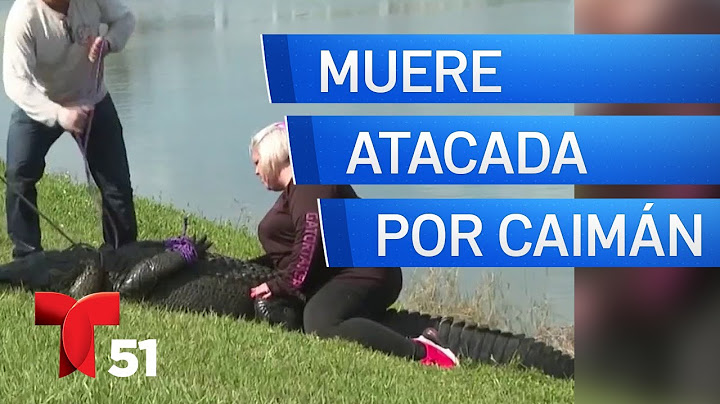 Mujer muere tras ser atacada por un caimán en Florida