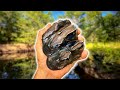 We Found HUGE Teeth, TUSKS and Tons of Other Great Fossils on a Florida River (Alligators &amp; Snakes!)