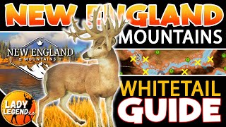 Get Your WHITETAIL GREAT ONE in the NEW ENGLAND MOUNTAINS!!! - Call of the Wild