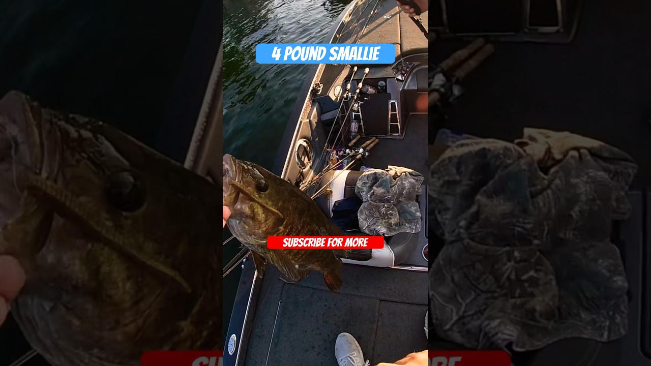 Fishing for Big Smallmouth 