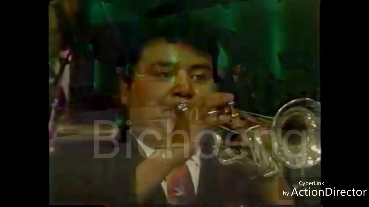 Momentos de amor (La sonora de Margarita) en vivo