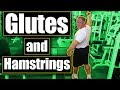 Grow your Glutes and Hamstrings with this unreal leg Workout