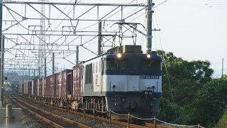 2019/07/23 JR貨物 朝と夕方撮った遅れ貨物列車5本