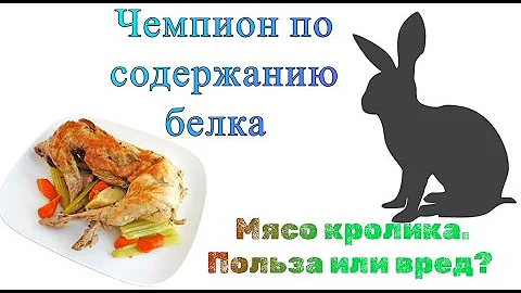 Чемпион по содержанию белка. Мясо кролика. Польза или вред?