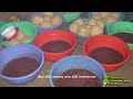 The Story Of AsociaciГіn Kinyabalanga Nyamizi рџЊЌ NGO Spotlight By Mayekoo The Story Of AsociaciГіn Kinyabalanga Nyamizi рџЊЌ NGO Spotlight By Mayekoo