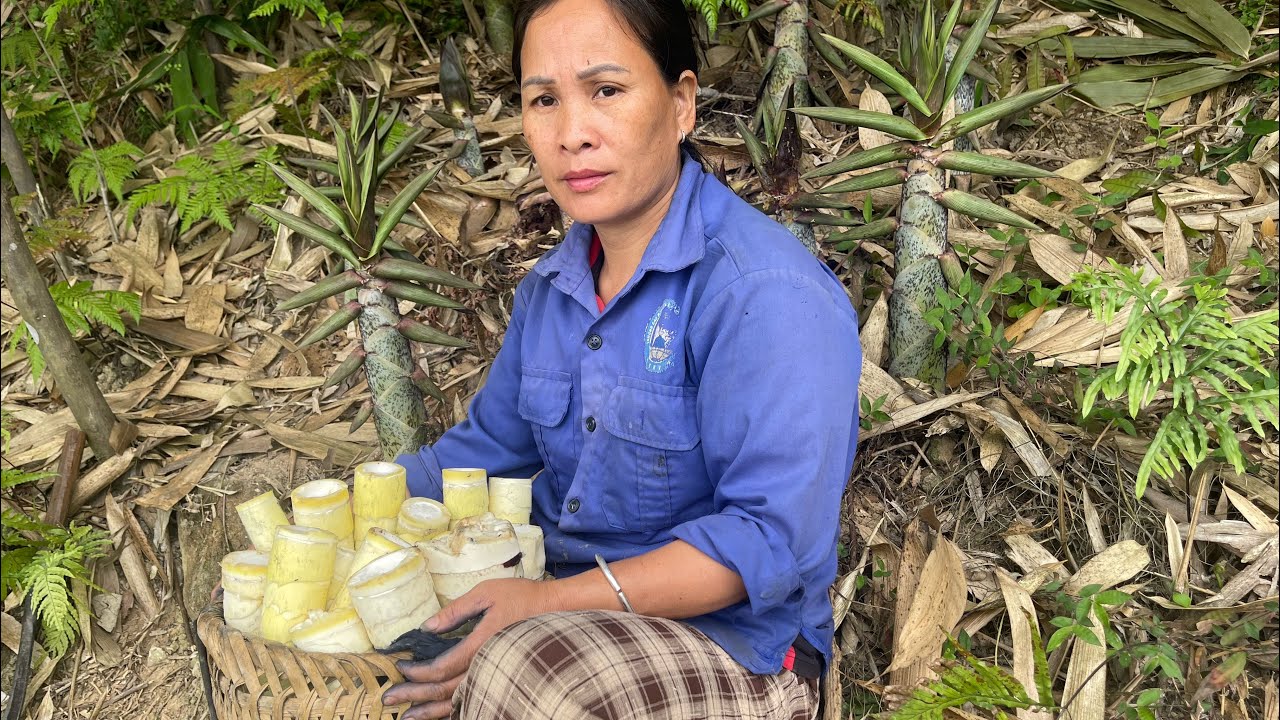 Mother in law after being kicked out of the house by her daughter in law p44#