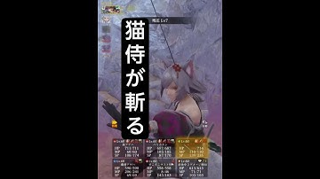 猫侍が斬る【ウィザードリィ ヴァリアンツ ダフネ】【Wizardry Variants Daphne】【#Shorts】