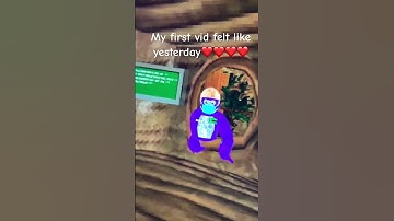 #vr #vrheadset #gorillatag #oculus #oculusquest #metaquest2 #gaming #virtualrealityheadset #funny